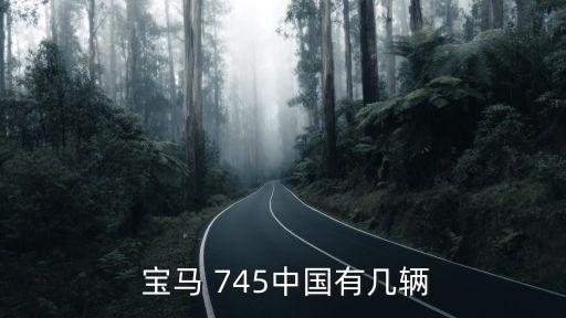  宝马 745中国有几辆