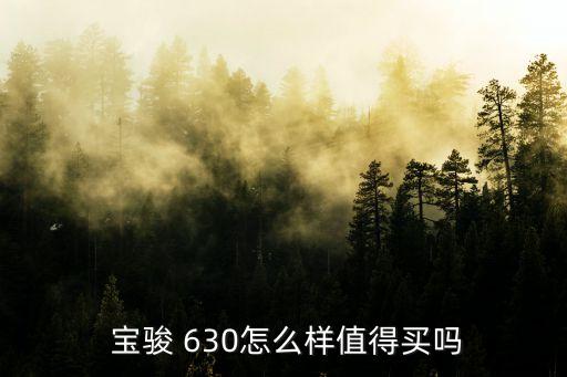  宝骏 630怎么样值得买吗