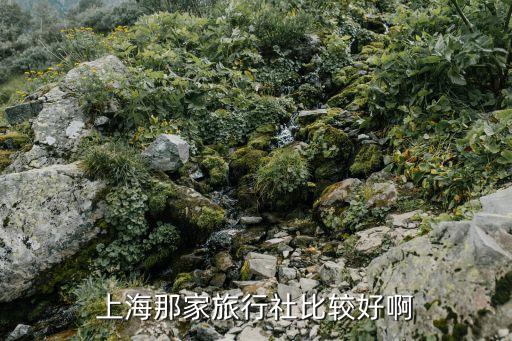 上海鹰铁车辆配件有限公司,上海铁鹰起重机械有限公司