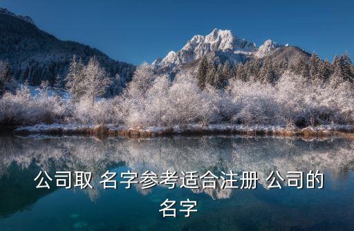  公司取 名字参考适合注册 公司的 名字