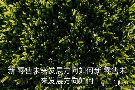新 零售未来发展方向如何新 零售未来发展方向如何