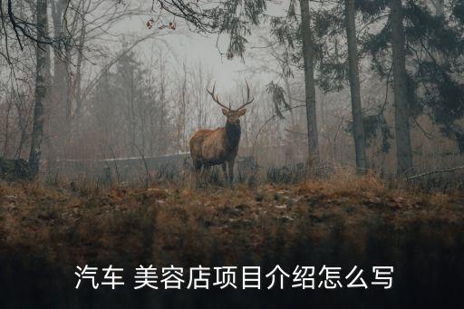  汽车 美容店项目介绍怎么写