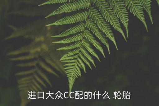 进口大众CC配的什么 轮胎