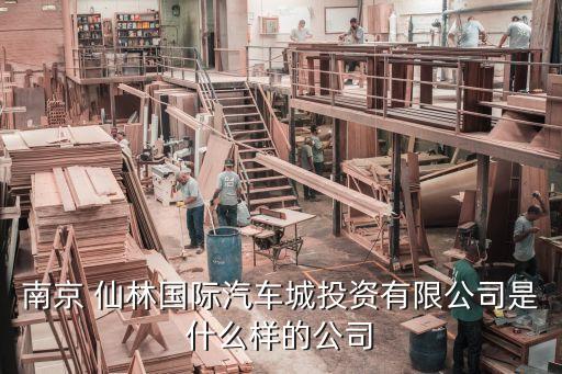 南京 仙林国际汽车城投资有限公司是什么样的公司
