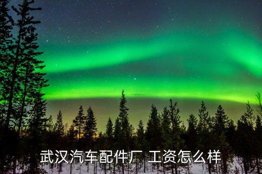 武汉汽车配件厂 工资怎么样