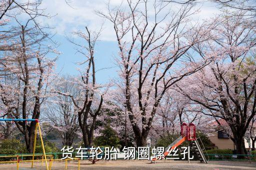 货车轮胎 钢圈螺丝孔