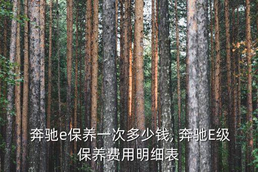 奔驰e保养一次多少钱, 奔驰E级保养费用明细表