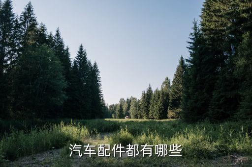 新车车内要有什么备件