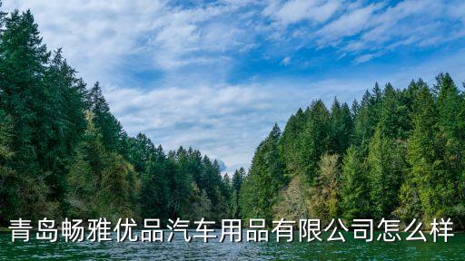 青岛畅雅优品汽车用品有限公司怎么样