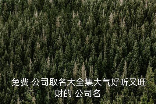  免费 公司取名大全集大气好听又旺财的 公司名