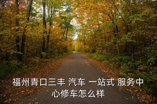 福州青口三丰 汽车 一站式 服务中心修车怎么样