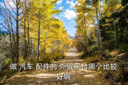 做 汽车 配件的 外贸平台哪个比较好啊