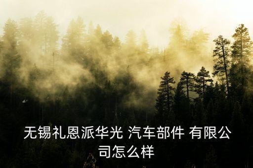  无锡礼恩派华光 汽车部件 有限公司怎么样