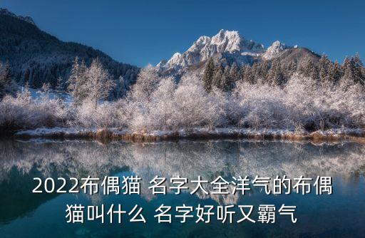 2022布偶猫 名字大全洋气的布偶猫叫什么 名字好听又霸气