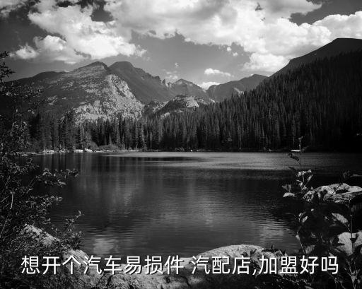 想开个汽车易损件 汽配店,加盟好吗