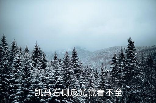  凯马右侧反光镜看不全