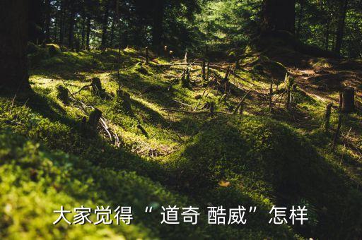 大家觉得“ 道奇 酷威”怎样