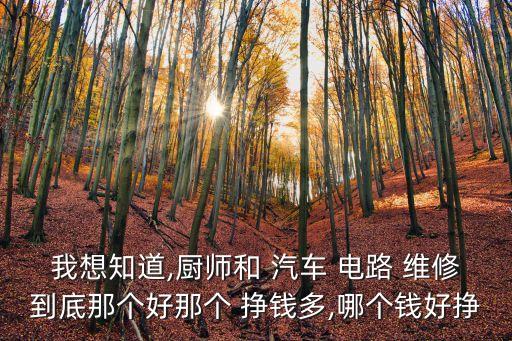 我想知道,厨师和 汽车 电路 维修到底那个好那个 挣钱多,哪个钱好挣