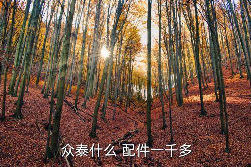  众泰什么 配件一千多