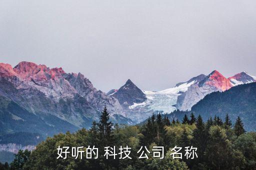 好听的 科技 公司 名称