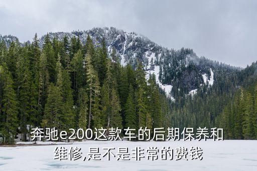  奔驰e200这款车的后期保养和 维修,是不是非常的费钱