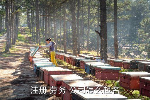 三个字劳务公司最佳名字,劳务公司名称大全简单大气