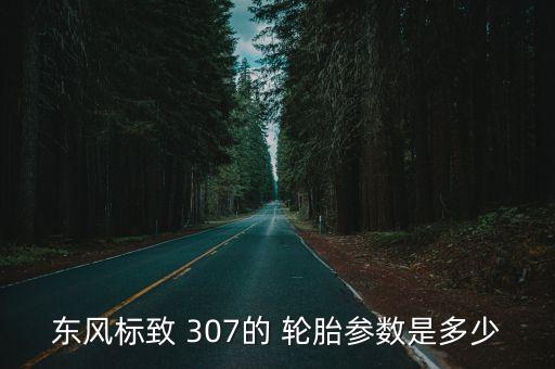 东风标致 307的 轮胎参数是多少