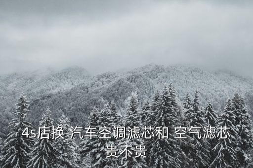 4s店换 汽车空调滤芯和 空气滤芯贵不贵