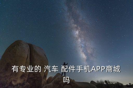 有专业的 汽车 配件手机APP商城吗