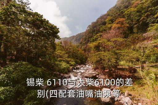  锡柴 6110与大柴6100的差别(四配套油嘴油泵等