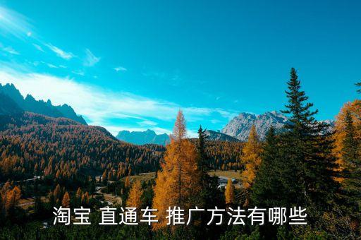 淘宝 直通车 推广方法有哪些