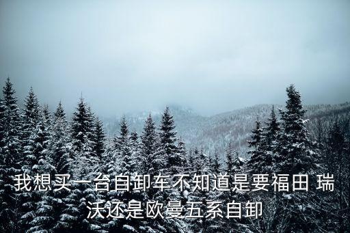 我想买一台自卸车不知道是要福田 瑞沃还是欧曼五系自卸