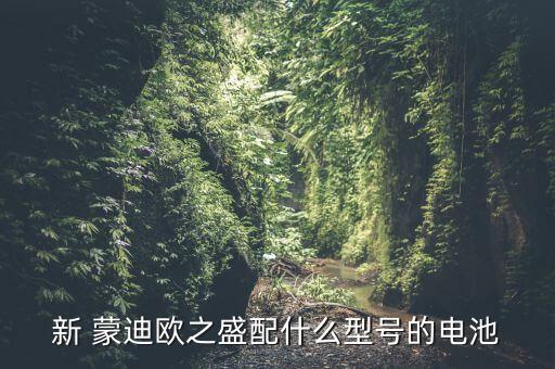 新 蒙迪欧之盛配什么型号的电池