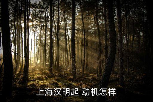 上海汉明起 动机怎样
