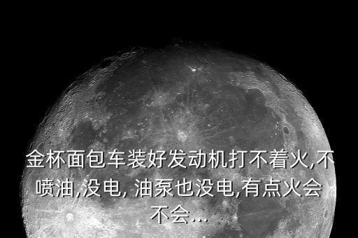  金杯面包车装好发动机打不着火,不喷油,没电, 油泵也没电,有点火会不会...
