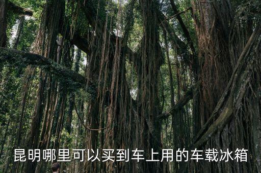 昆明哪里可以买到车上用的车载冰箱