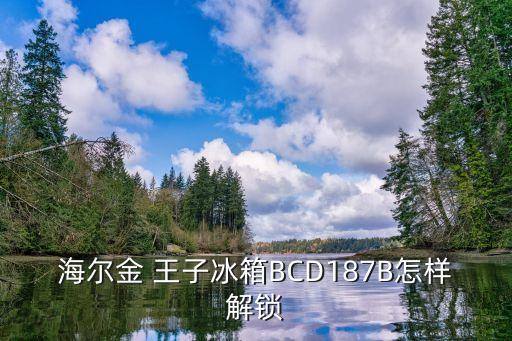 海尔金 王子冰箱BCD187B怎样解锁