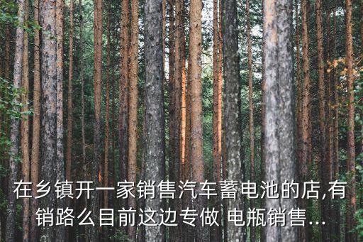在乡镇开一家销售汽车蓄电池的店,有销路么目前这边专做 电瓶销售...