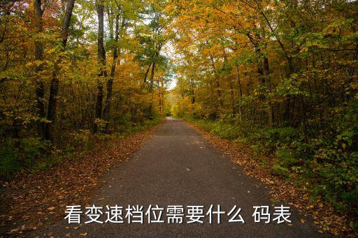 汽车码表配件,汽车的码表与实际时速
