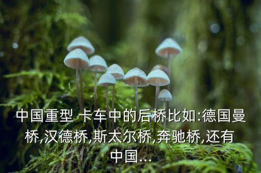 中国重型 卡车中的后桥比如:德国曼桥,汉德桥,斯太尔桥,奔驰桥,还有中国...