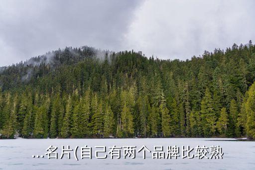 ...名片(自己有两个品牌比较熟