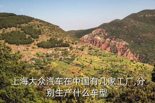  上海大众汽车在中国有几家工厂,分别生产什么车型