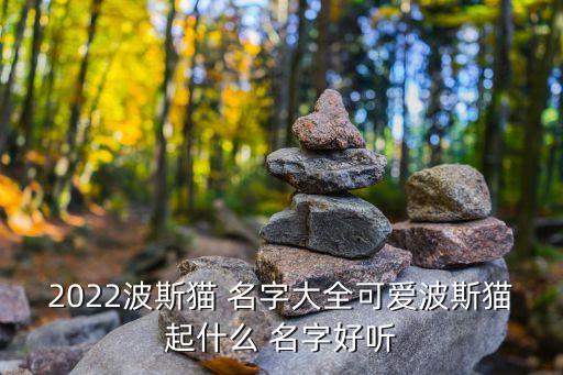 2022波斯猫 名字大全可爱波斯猫起什么 名字好听