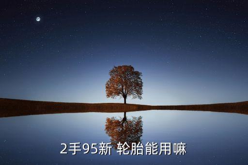 2手95新 轮胎能用嘛