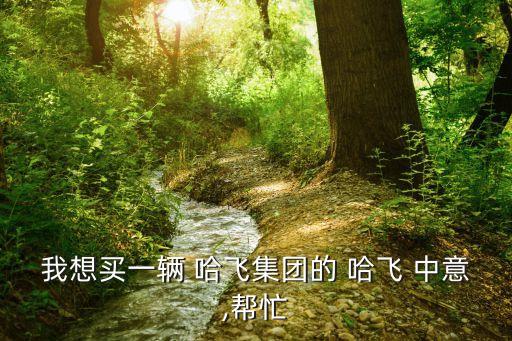 我想买一辆 哈飞集团的 哈飞 中意,帮忙
