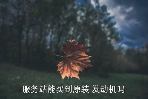 服务站能买到原装 发动机吗