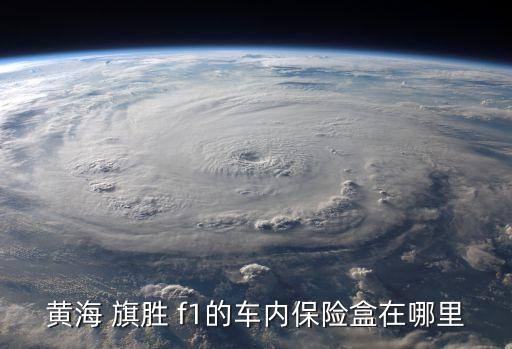 黄海 旗胜 f1的车内保险盒在哪里