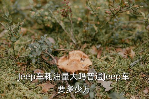 Jeep车耗油量大吗普通Jeep车要多少万