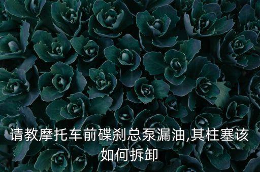 请教摩托车前碟刹总泵漏油,其柱塞该如何拆卸