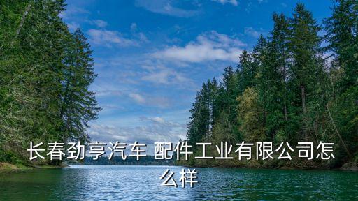 长春卖标致配件哪有,标致308配件哪里有卖的
